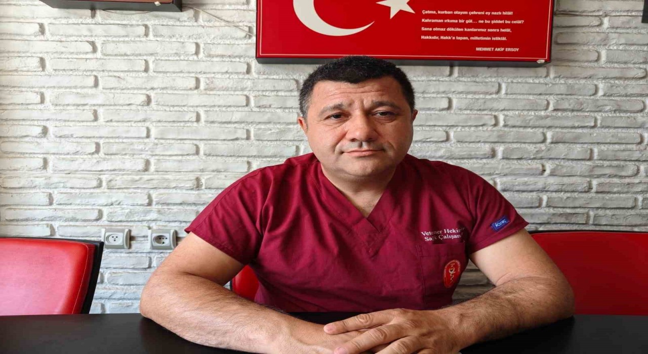 Yılan ısırmasında sakin kalın