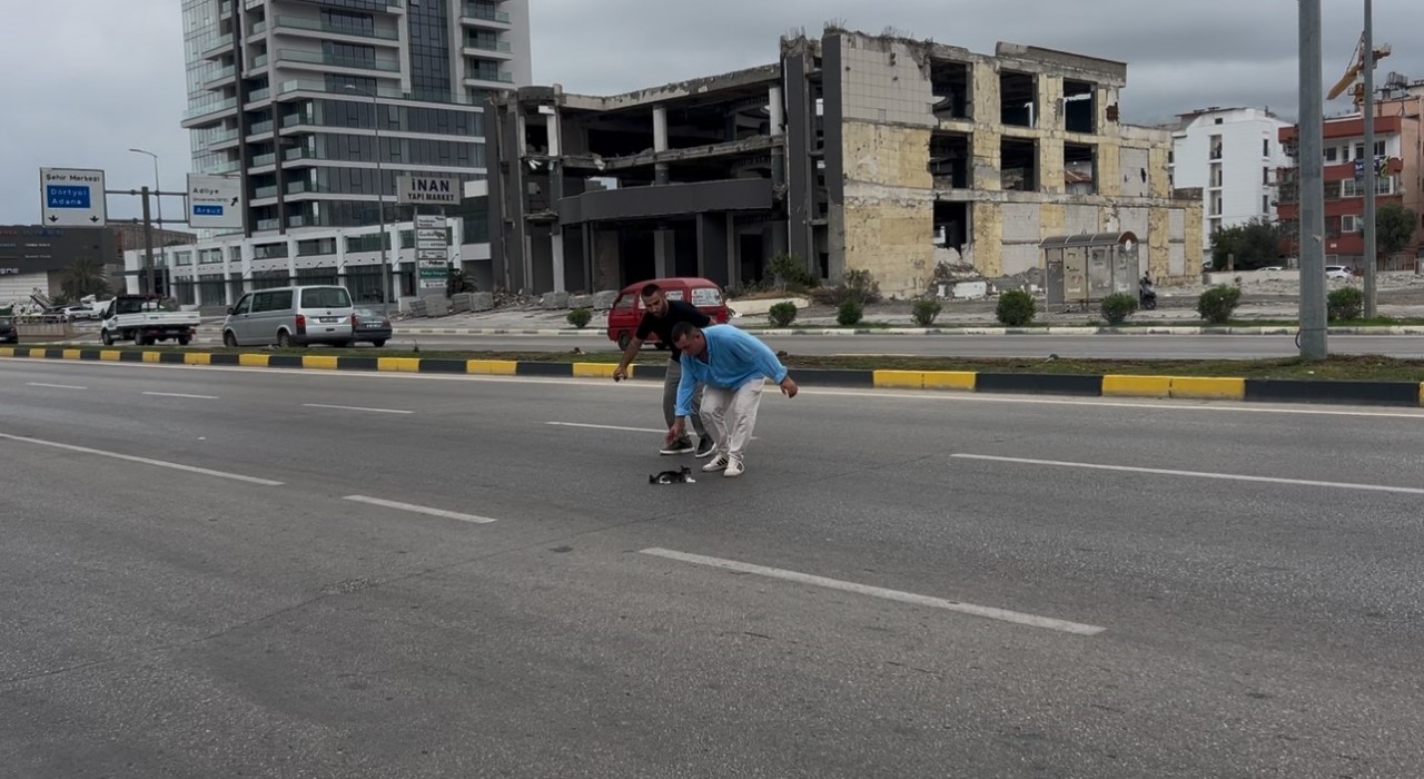 Yolcu dolu minibüsü durdurarak akan trafikte çaresizce bekleyen yavru kediyi kurtardı