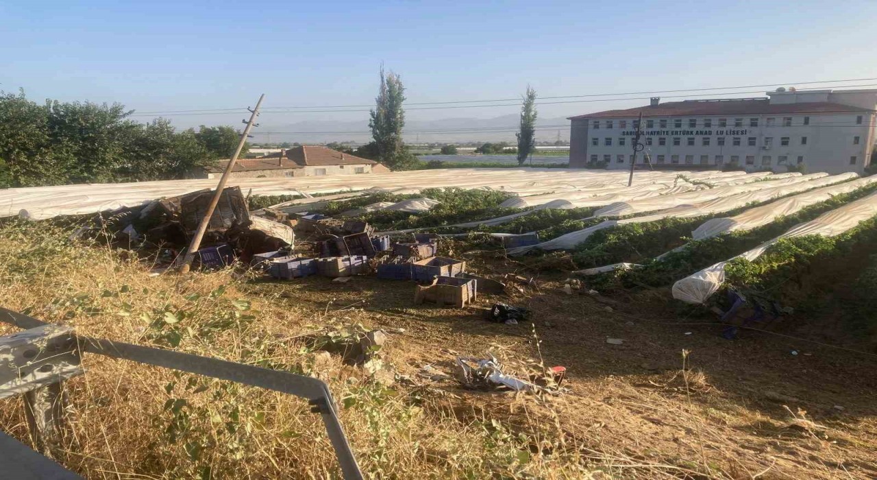 Yoldan çıkıp üzüm bağına uçan tırın şoförü hayatını kaybetti