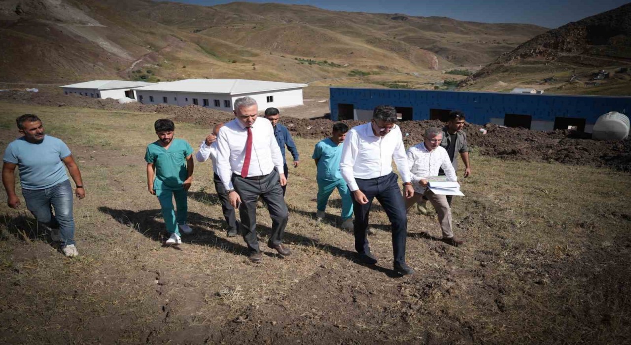 Yüksekovada sokak hayvanlarına modern yaşam alanı