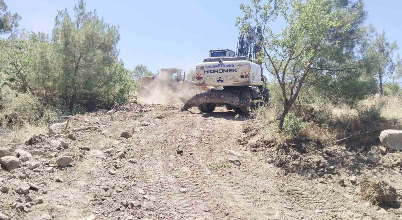 Yunusemrede özel ağaçlandırma alanlarına bakım