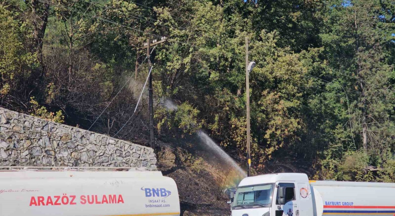 Zonguldakta çıkan örtü yangını kontrol altına alındı