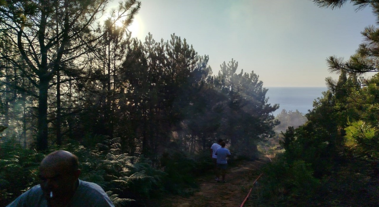 Zonguldakta çıkan yangında 7 dönümlük karaçam ormanı zarar gördü