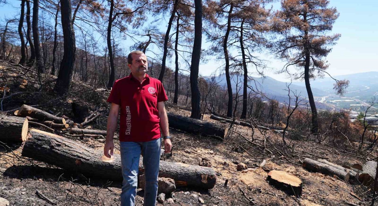 3 bin kilo tohum, yanan bölgelerde toprakla buluşacak