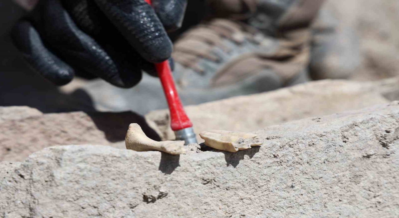 6 bin yıllık tapınaktan sonra Tadım Kalesinde insan ve hayvan kemikleri ortaya çıktı
