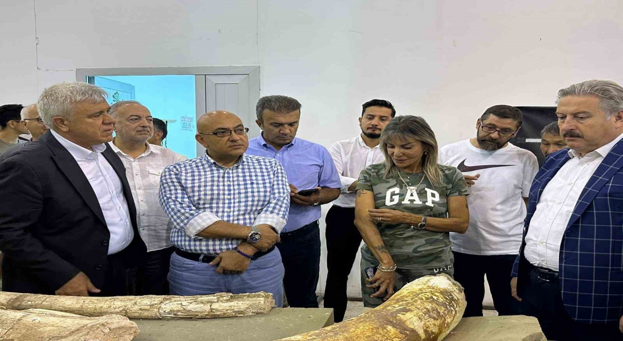 7,5 milyon yıllık fosil çalışmalarında gelinen nokta değerlendirildi