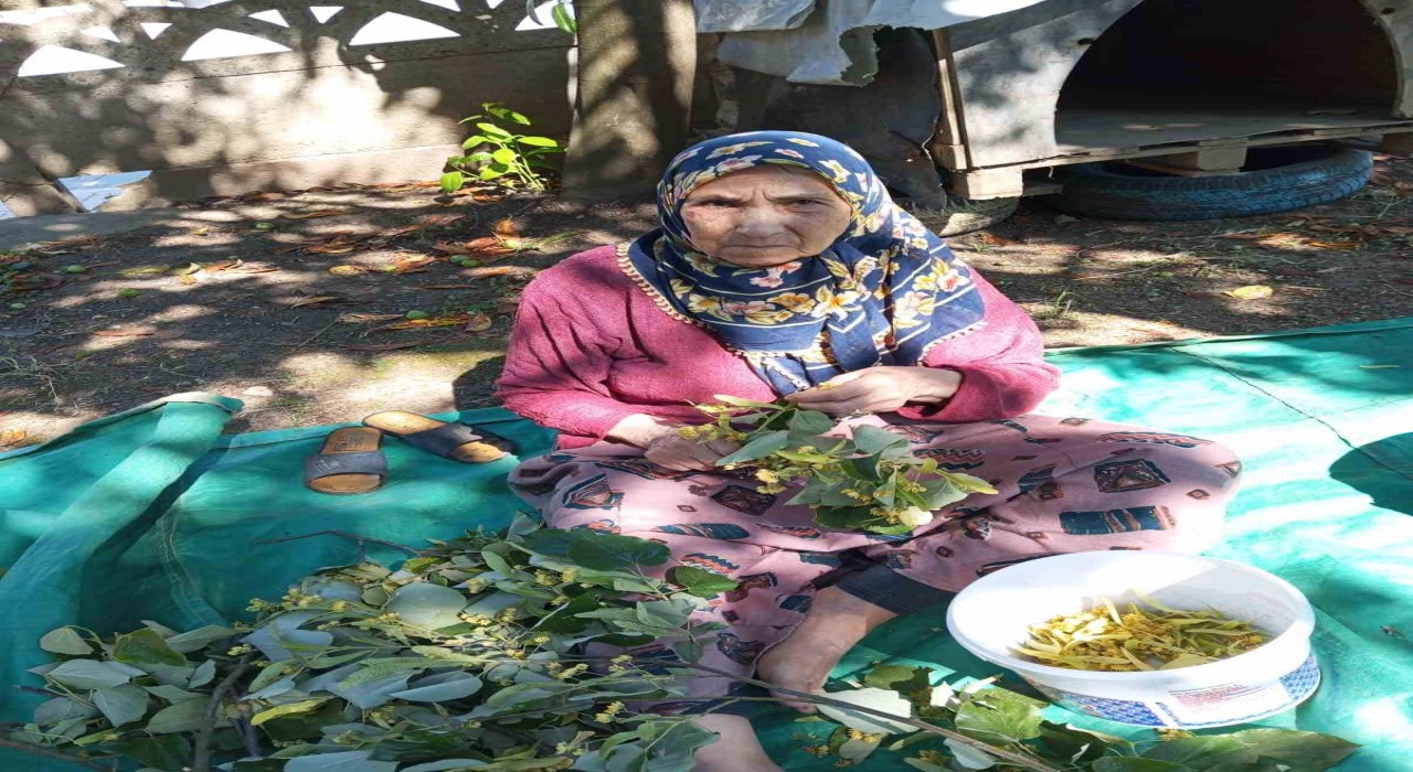 81 yaşındaki kadın her yerde aranıyor