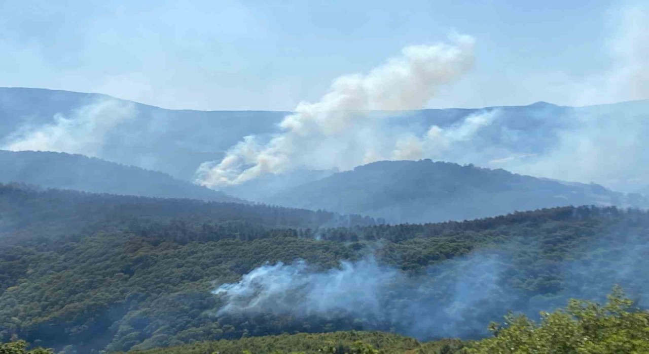 963 personel, 16 hava aracı ile Karamürseldeki yangına büyük seferberlik
