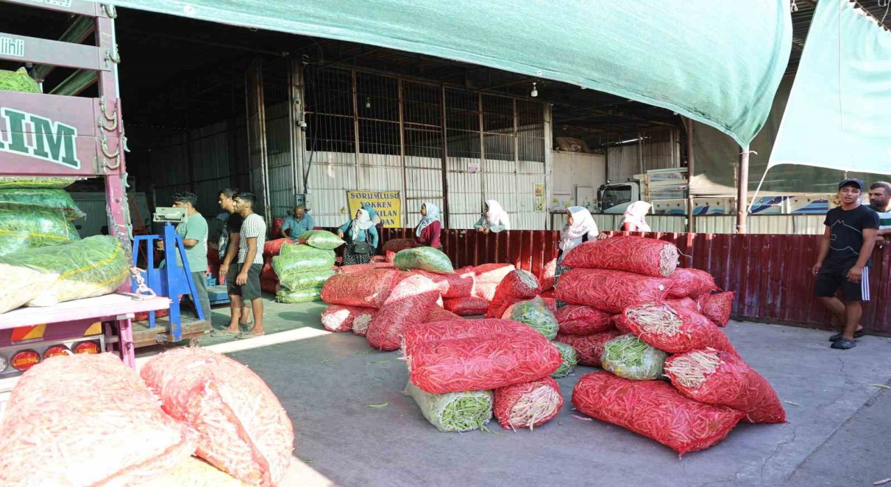 Acarlarda eli ayağı tutan herkes çalışıyor