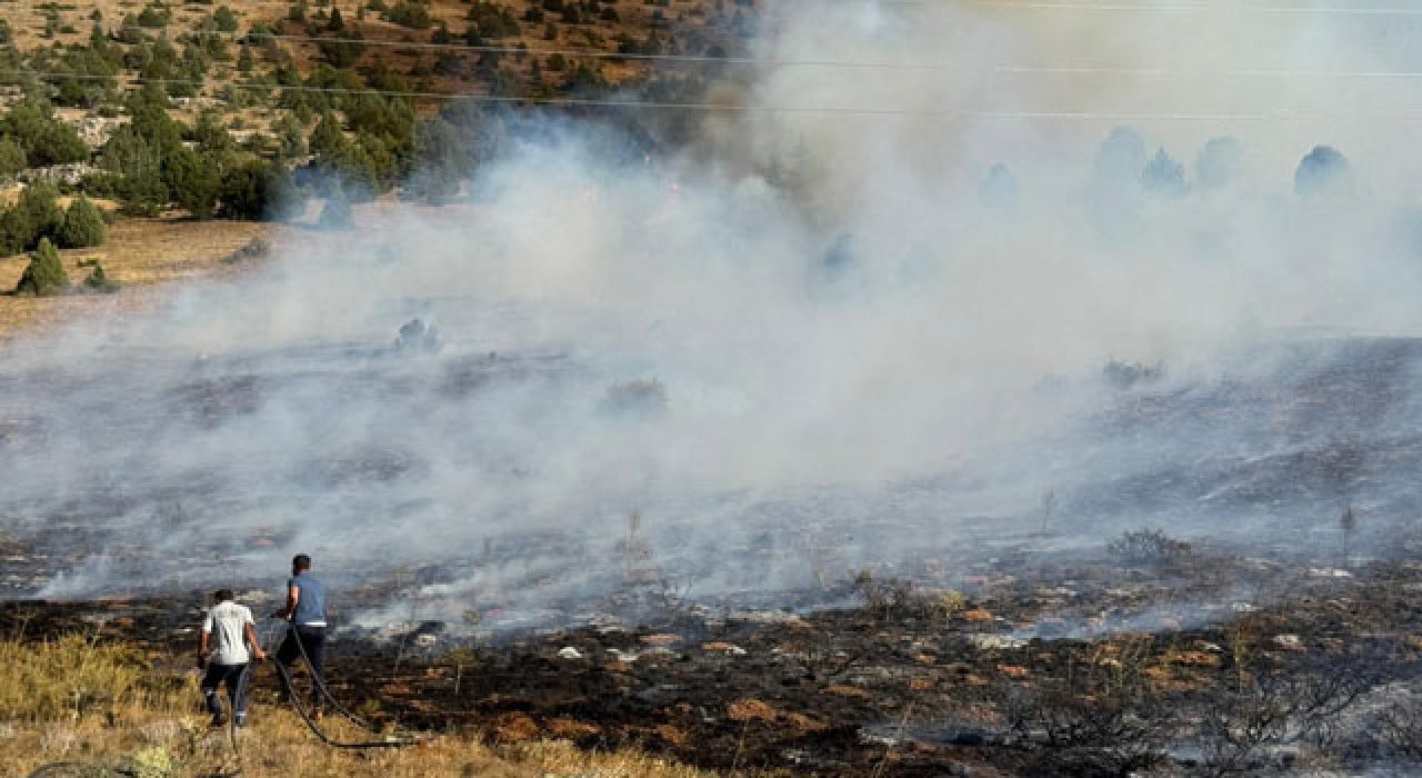 Adana Tufanbeyli’de Anız Yangını Ormana Sıçradı