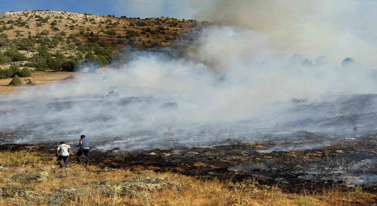 Adana Tufanbeylide orman yangını