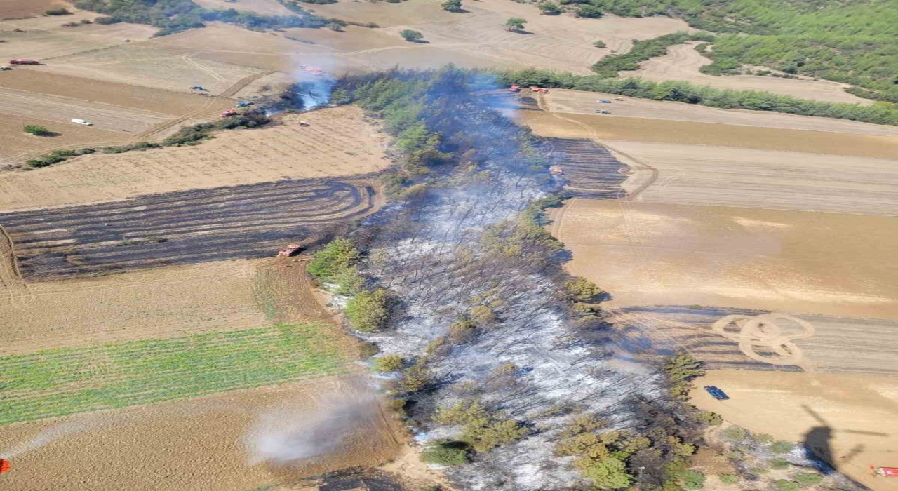 Adanada çıkan orman yangını kontrol altına alındı