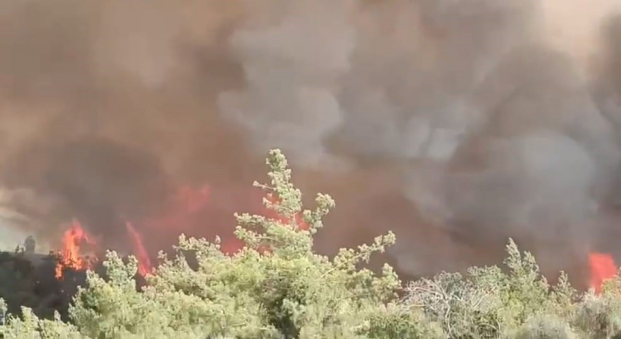 Adanada orman yangını