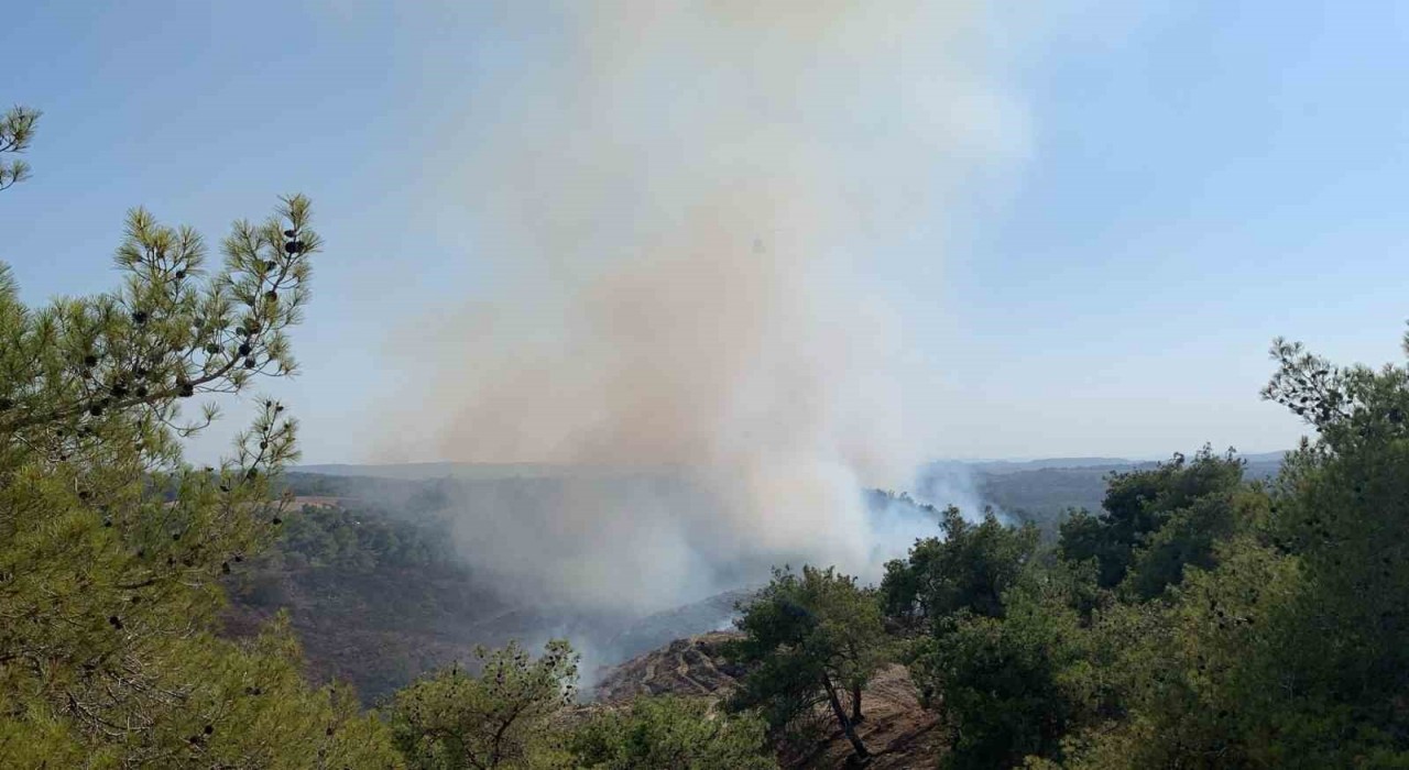 Adanada orman yangını