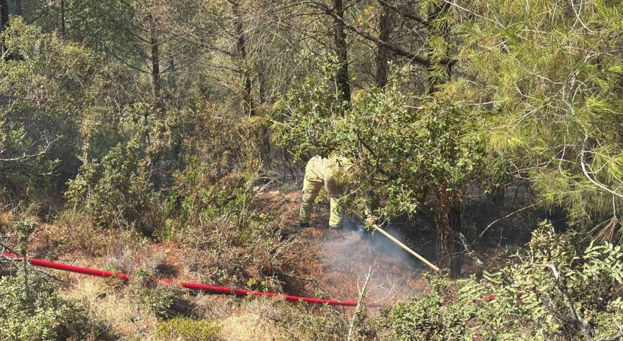 Adanada orman yangını kontrol altına alındı