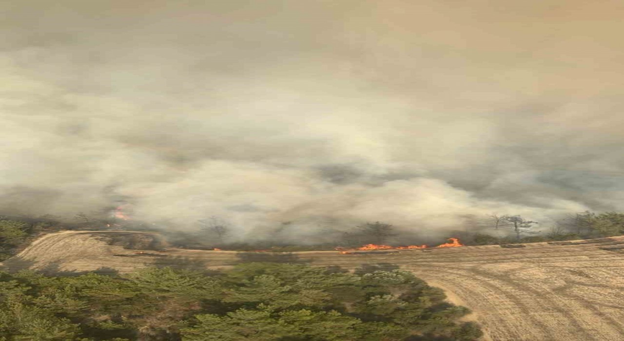 Adanada orman yangınına 6 helikopter ve 2 uçakla müdahale ediliyor