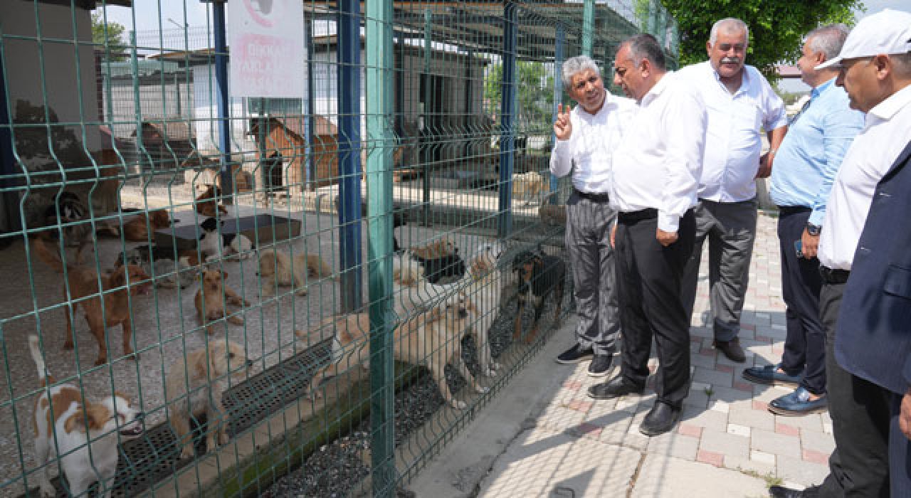 Adana’da Sokak Hayvanları İçin Doğal Yaşam Alanı Oluşturuldu