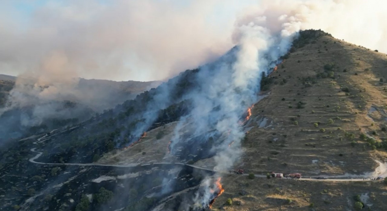 Afyonkarahisarda çıkan orman yangını söndürüldü