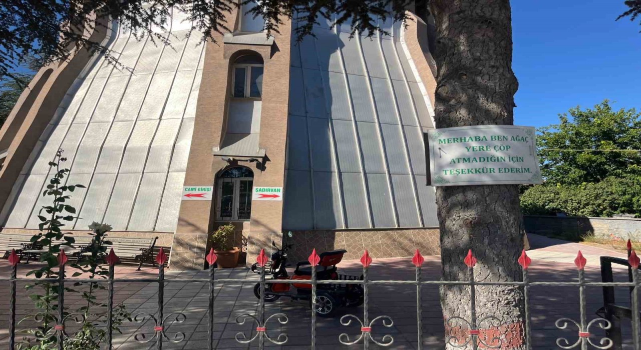 Ağaçlarda çevreye duyarlılık mesajları