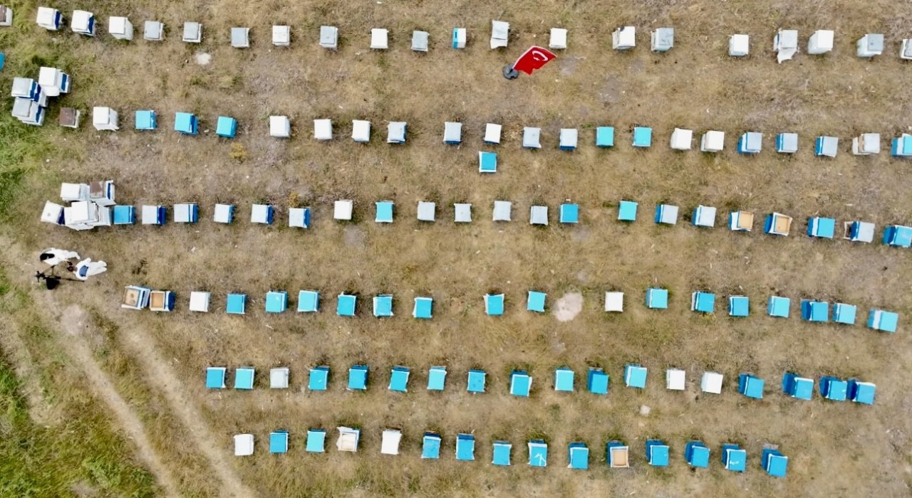 Ağrıda kadınlar bal üretimine yöneliyor