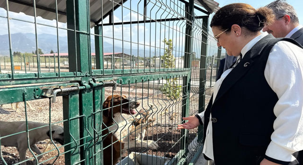 AK Partili Yanık: “Hem Çocuklarımız Hem de Can Dostlarımız Güvende”