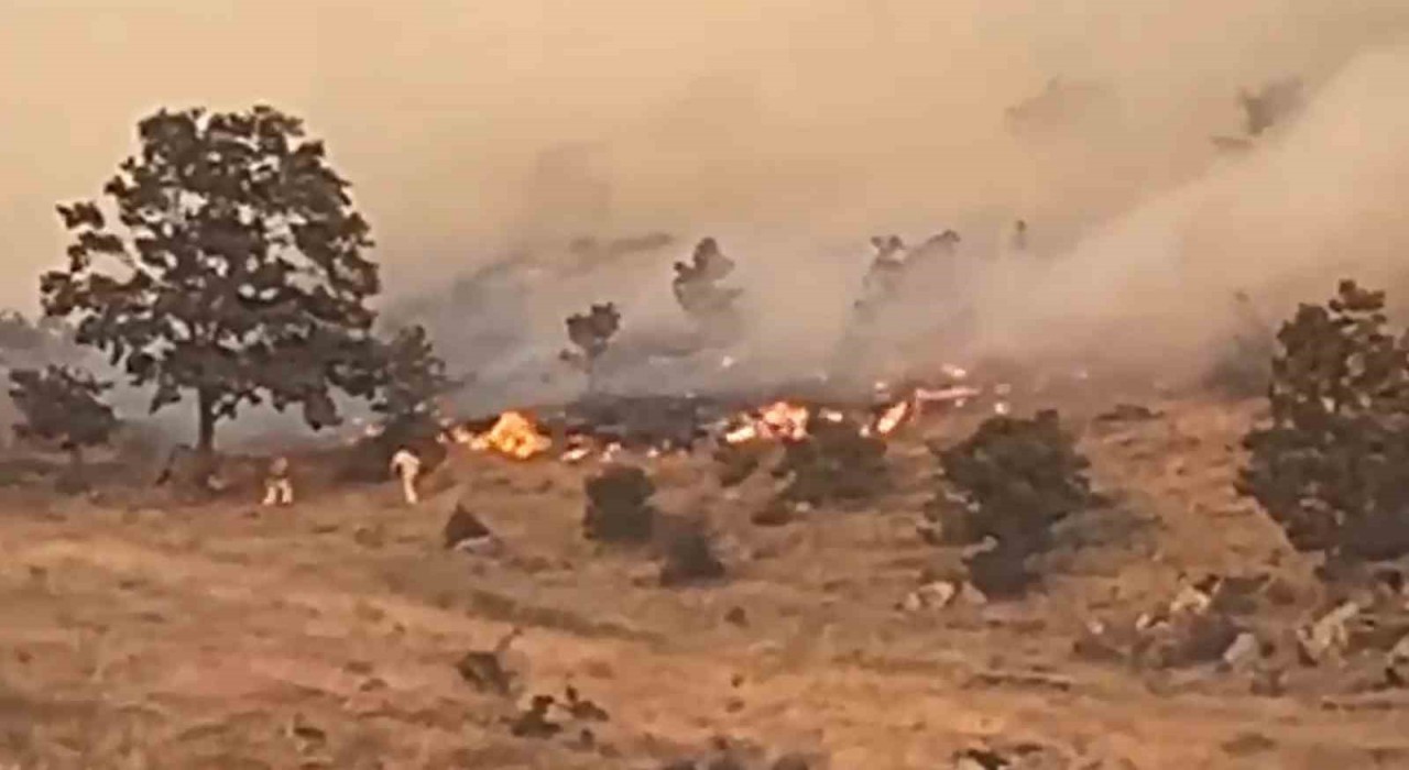 Aksarayda ağaçlık alanda yangın