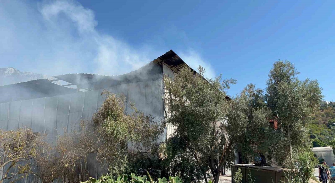 Alanyada mobilya atölyesinde yangın