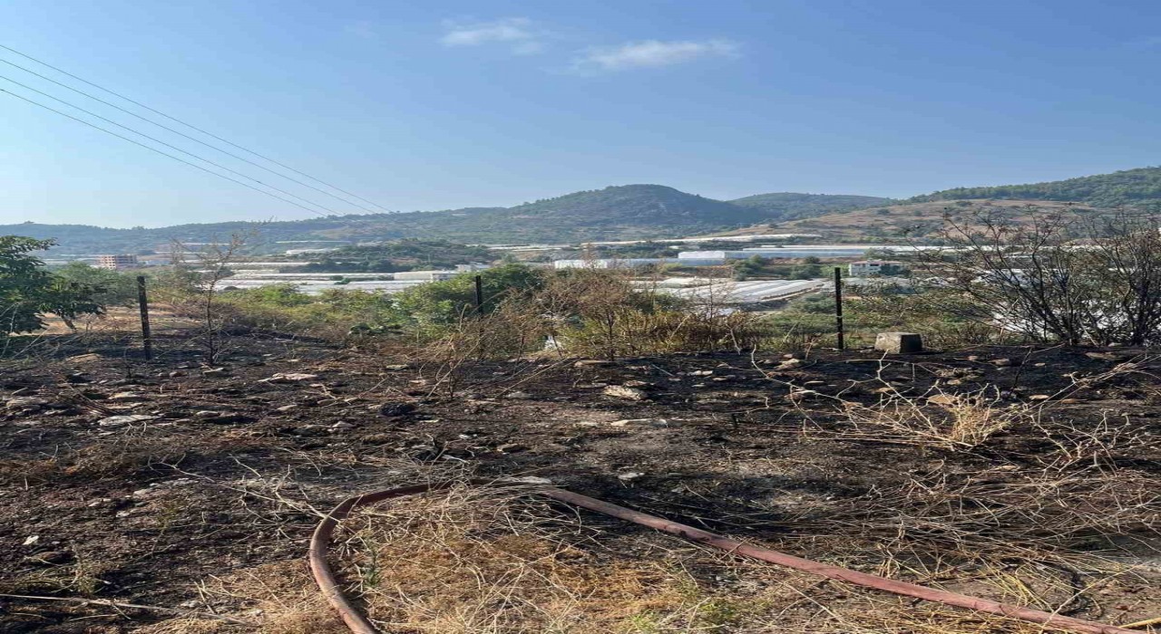 Alanyada otluk alanda çıkan yangın büyümeden söndürüldü