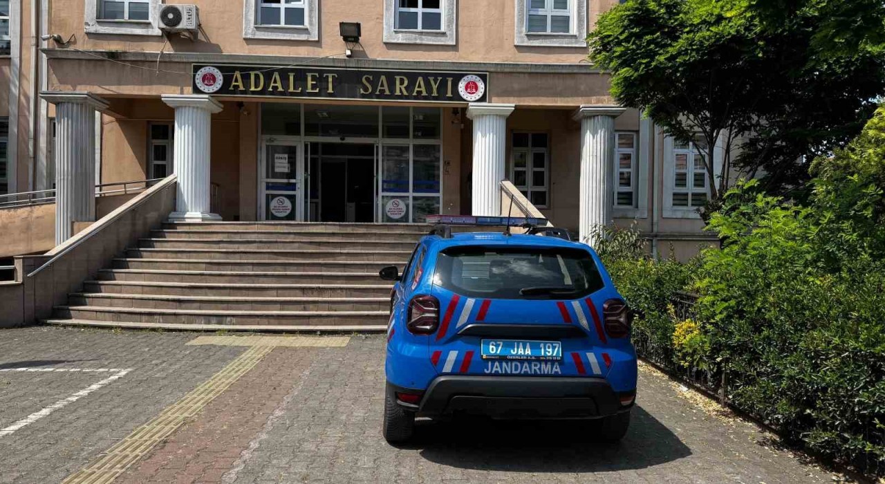 Alaplıda fındık bahçesinde 16 kök hint keneviri ele geçirildi