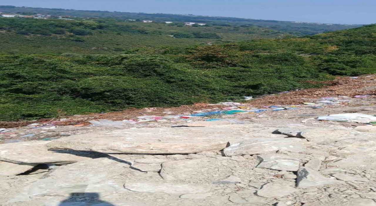 Alaplıda yol kenarına bırakılan çöpler çevre kirliliğine yol açıyor