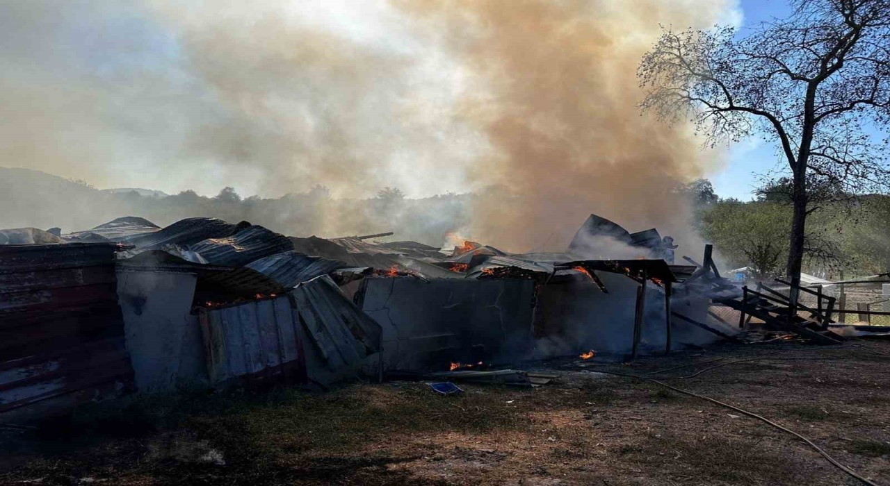 Alevlere teslim olan samanlık kullanılamaz hale geldi