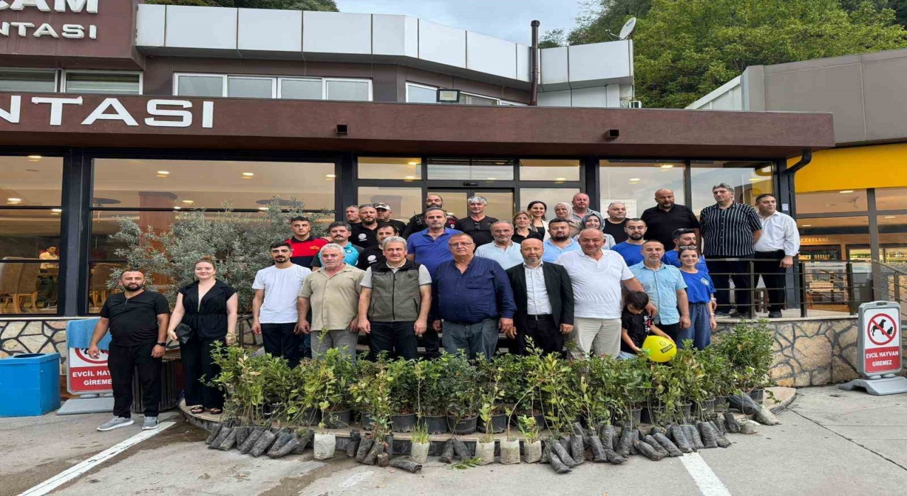 Alevlerin söndüğü yerde dayanışma yeşerdi: Geyveye fidan desteği