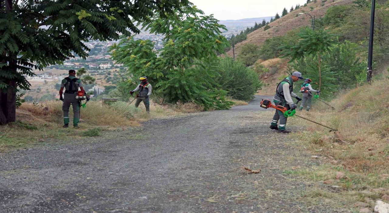 Ali Dağında yangına karşı üst düzey önlem