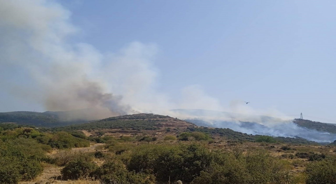 Aliağada makilik alanda yangın