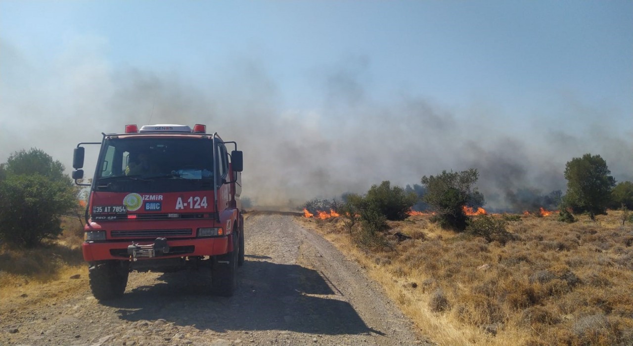 Aliağada otluk ve makilik alanda korkutan yangın