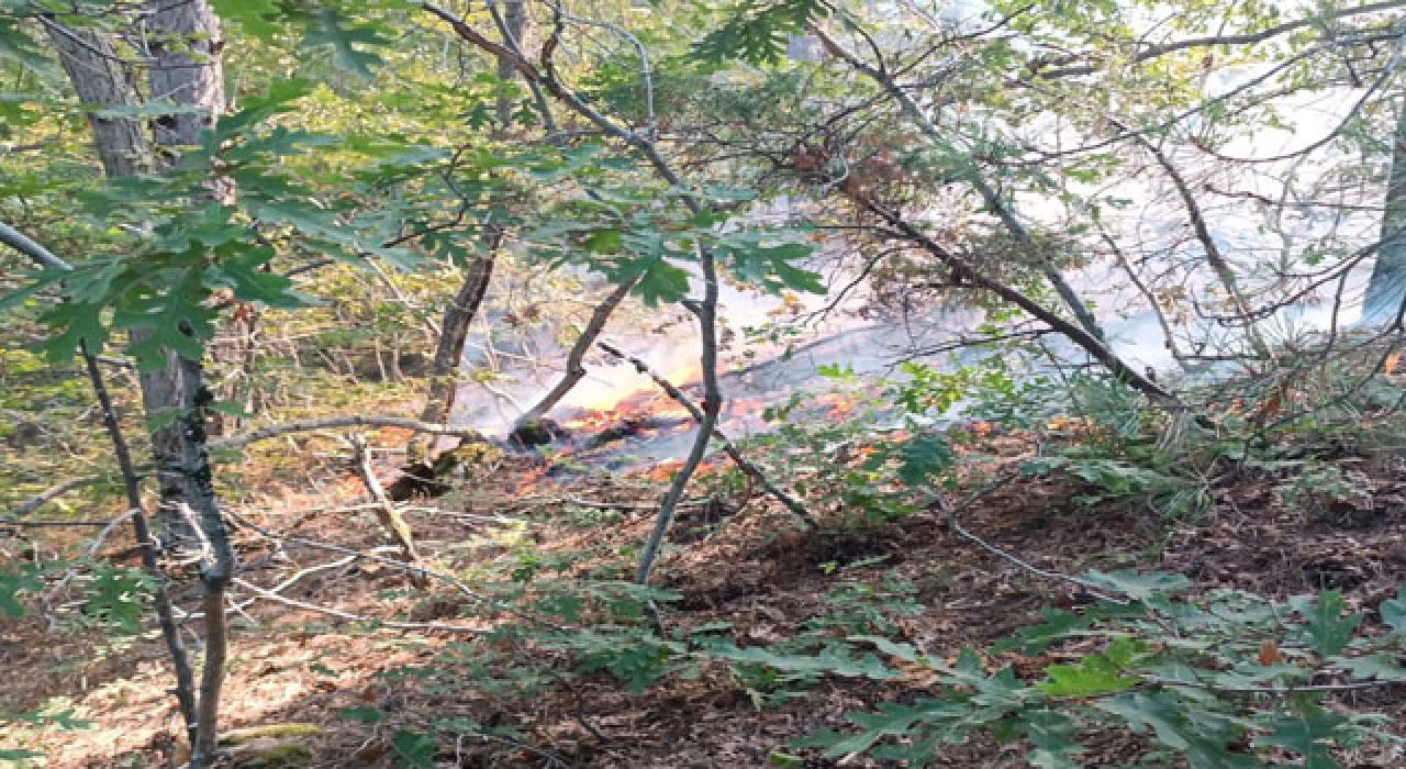 Amanoslarda Yangın Paniği