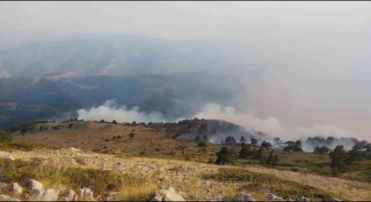 Amasyada orman yangını