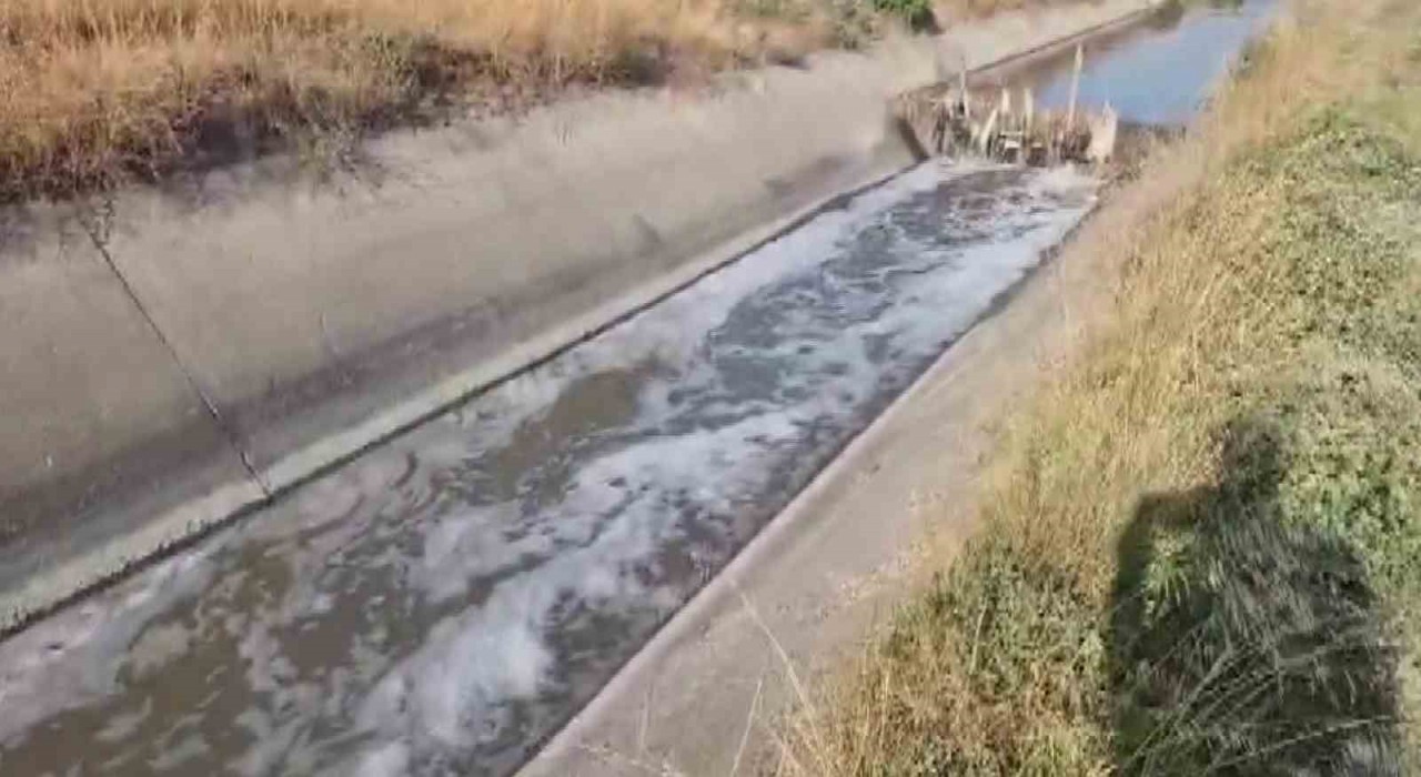 Amasyada sulama kanalı kirlilikten köpürdü, balık ölümleri görülmeye başladı