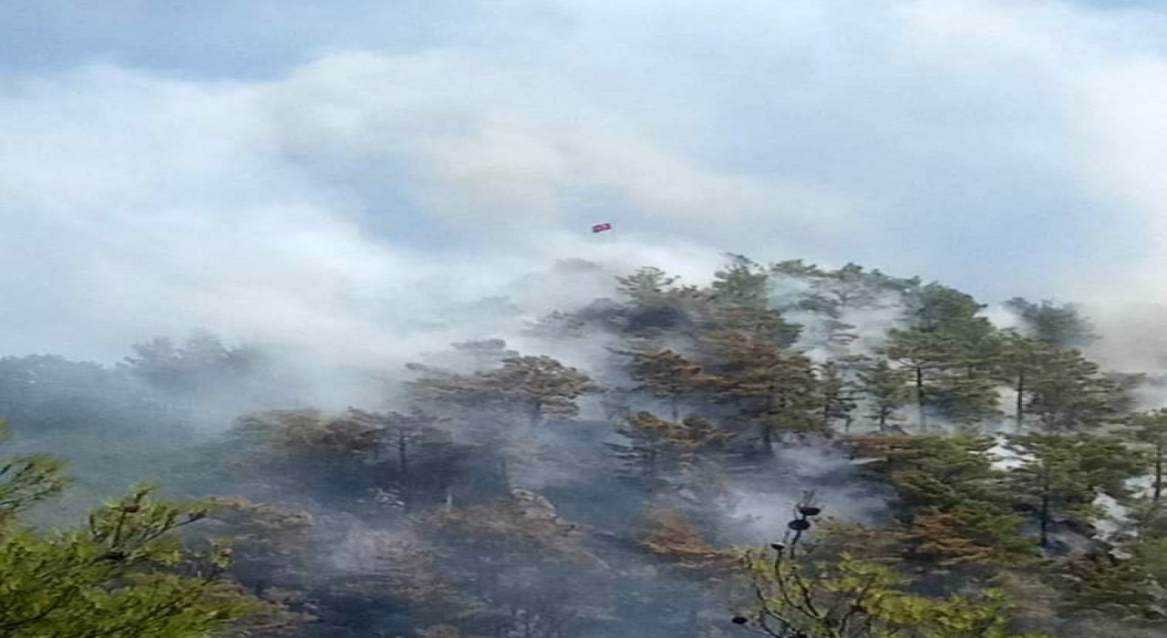 Anamurda orman yangını