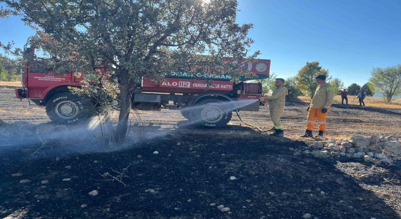 Anız yangını ormana sıçramadan söndürüldü