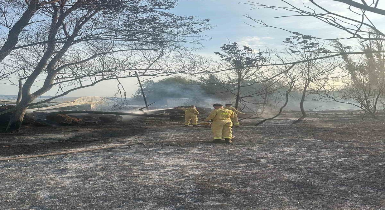 Anız yangınına itfaiye ekipleri müdahale etti