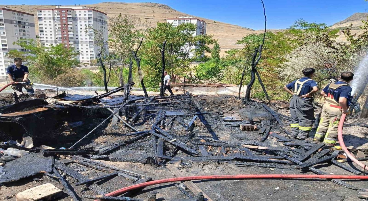 Ankarada çıkan yangında 33 kanatlı hayvan telef oldu