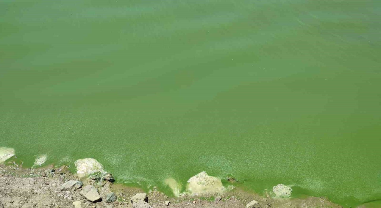 Ankarada kuraklık alarmı: Barajlarda suların azalmasıyla eski yerleşim yerleri gün yüzüne çıktı