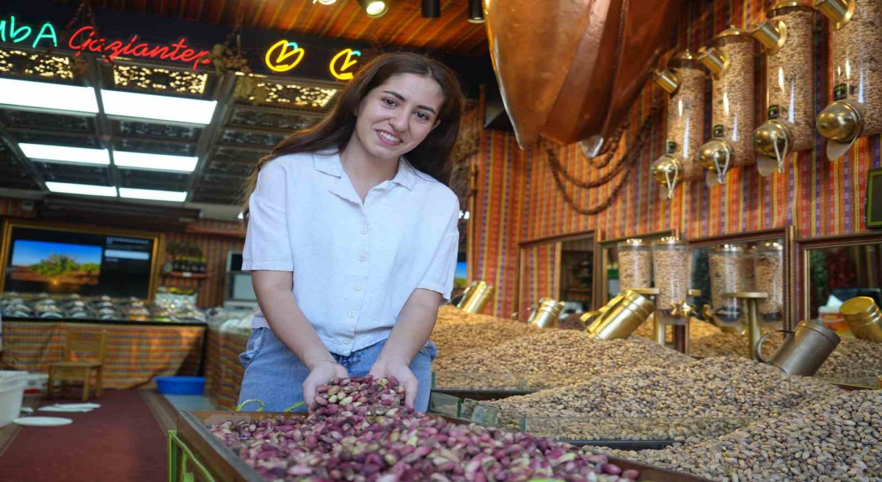 Antep fıstığının kilosu 500 TL oldu