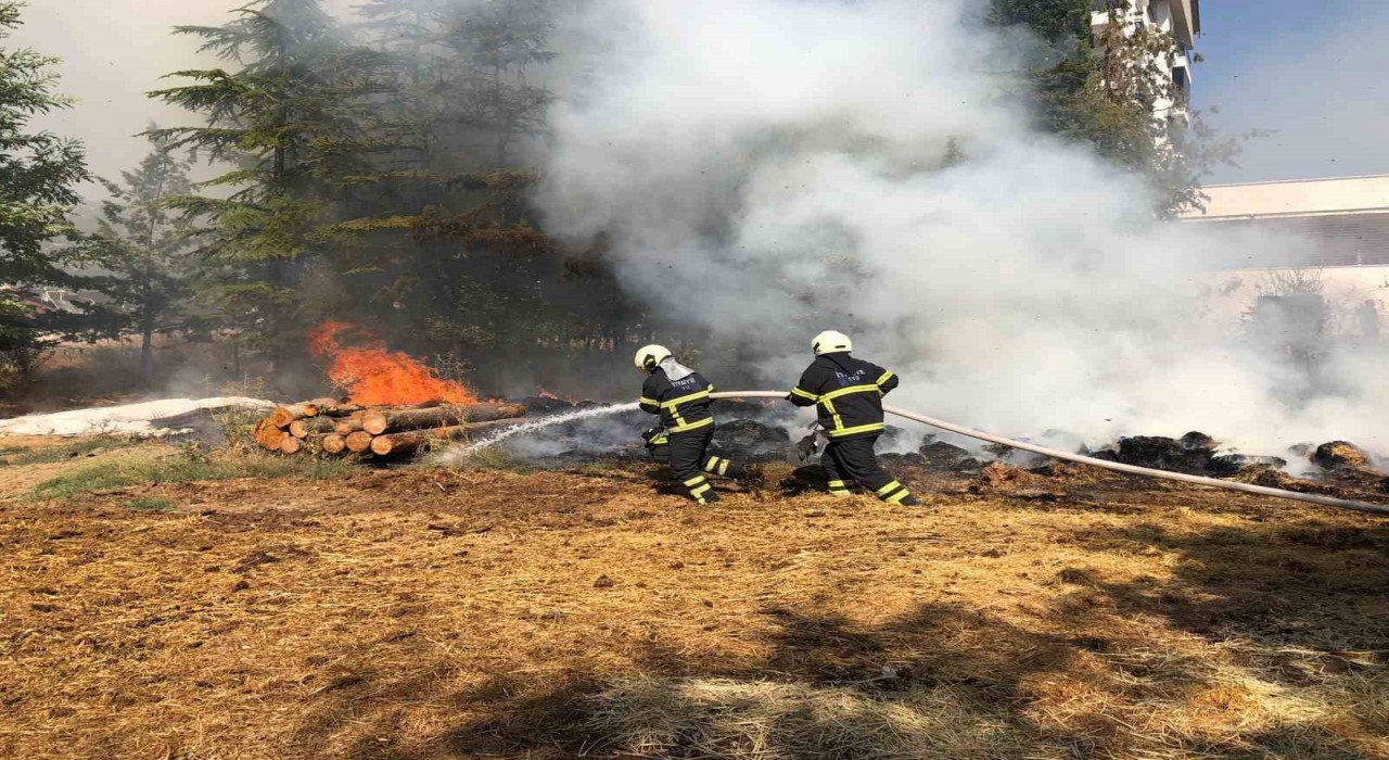 Apartmanın bahçesinde korkutan yangın