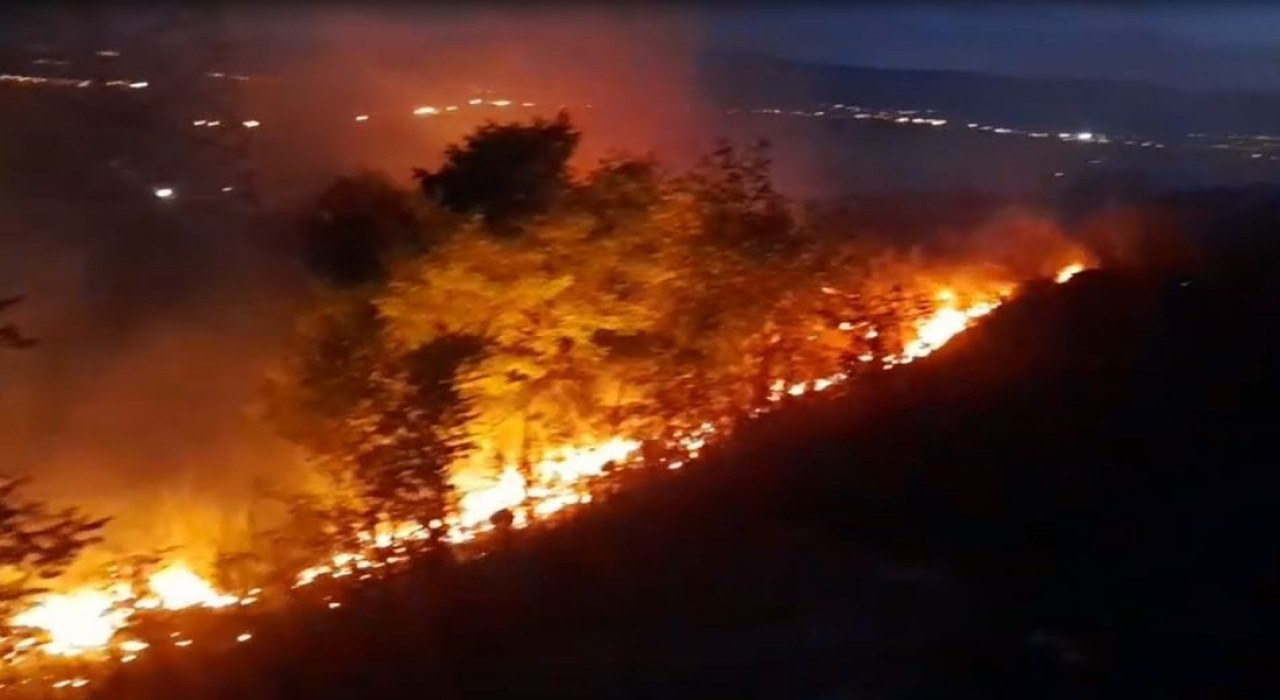 Ardahanda anız ve fidanlık yangını geceyi aydınlattı