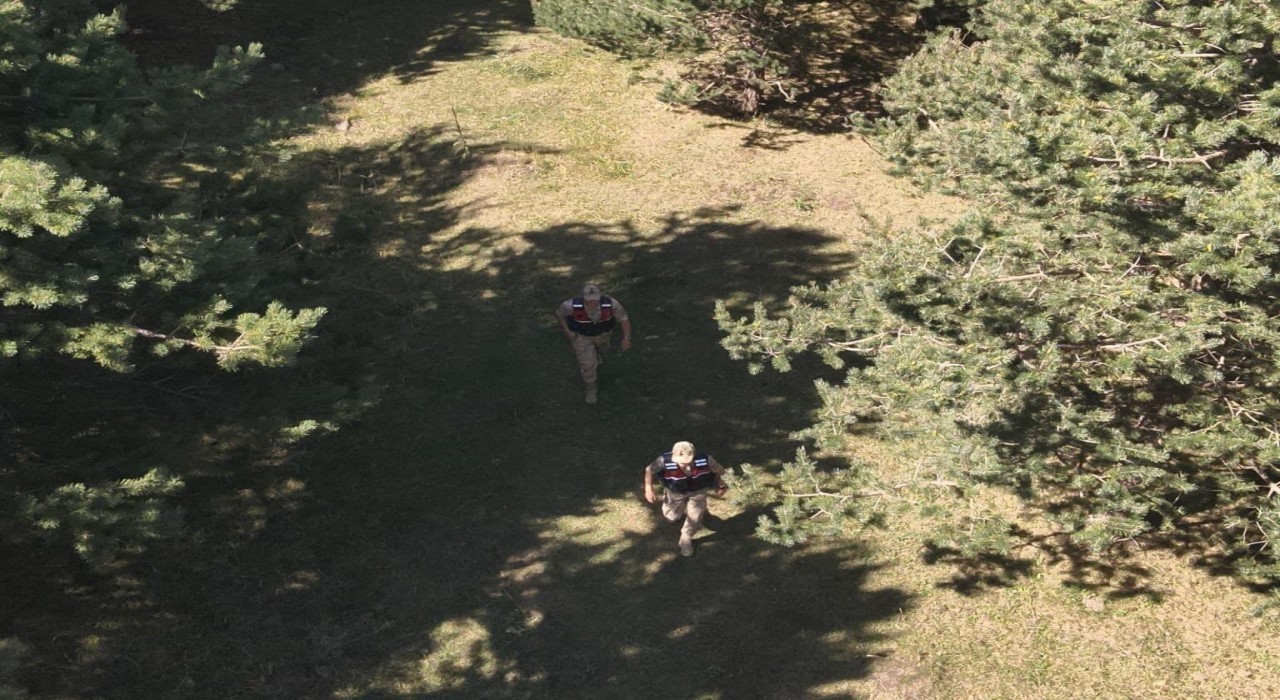 Ardahanda jandarma ekipleri ormanlık alanlarda denetimlerini sıklaştırdı