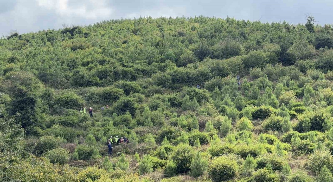 Arnavutköyde kaybolan 90 yaşındaki Yusuf Bayraktar ormanlık alanda ölü bulundu