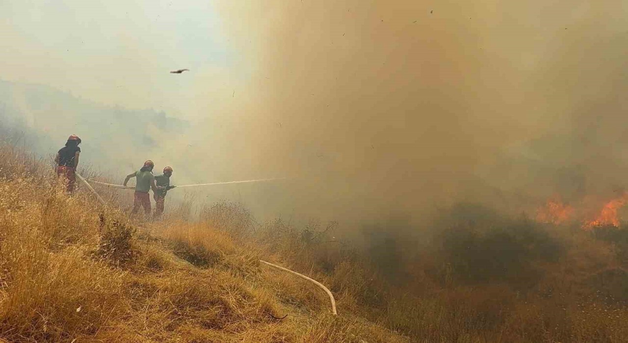 Arnavutlukta orman yangını: 1 ölü, 8 yaralı