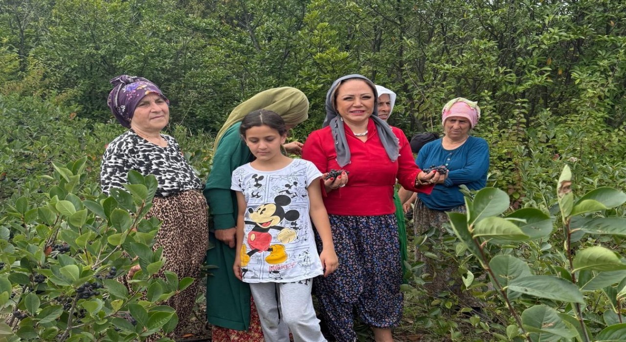 Aronya Akçaabattan dünyaya açılıyor